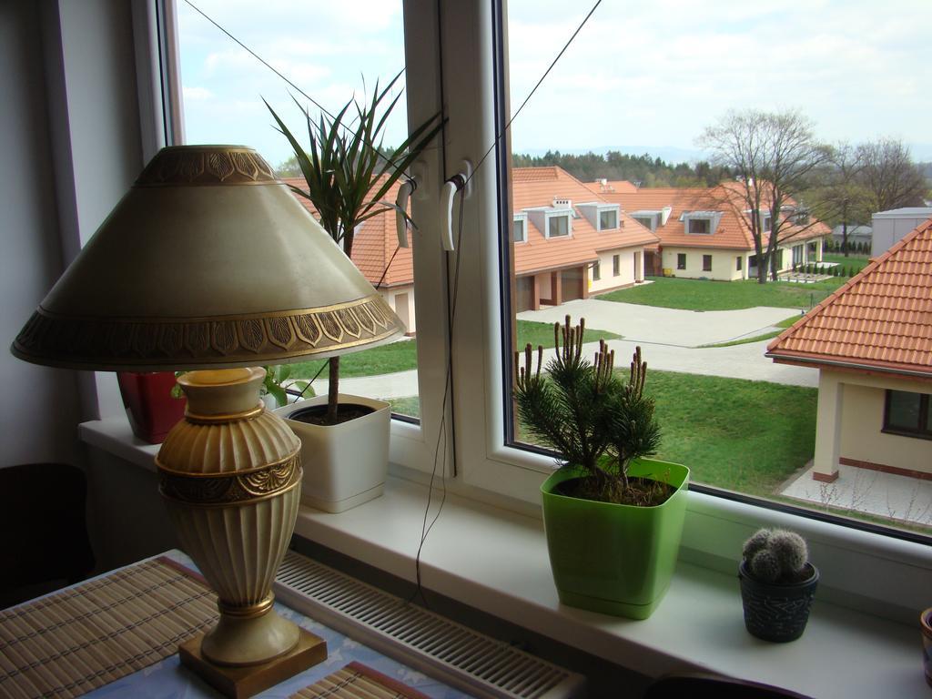 Sloneczna Polanka Apartment Polanica-Zdroj