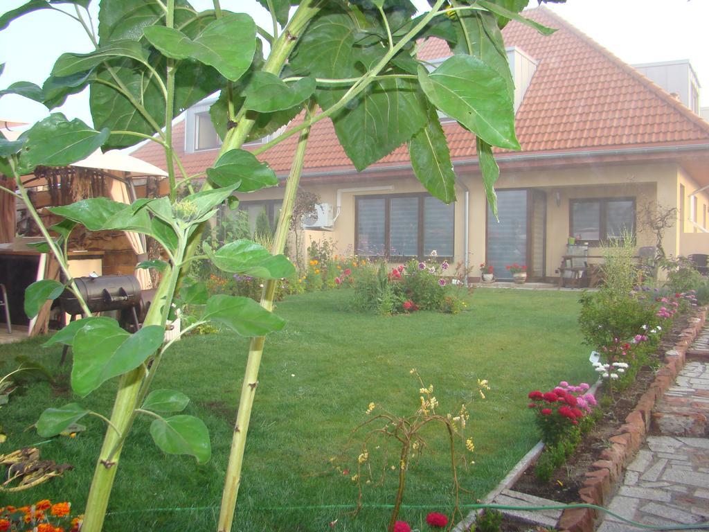 Sloneczna Polanka Apartment *